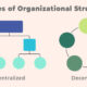 الهيكل التنظيمي المركزي واللامركزي