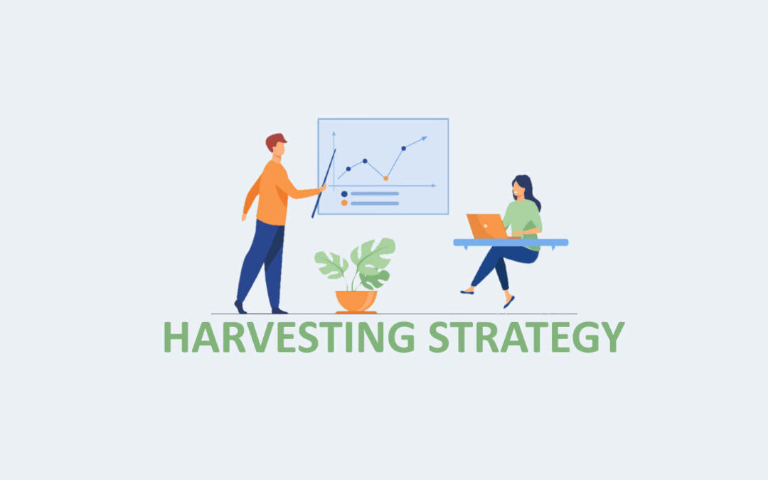استراتيجية الحصاد